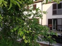 Family Apartment Ingrid - B&B