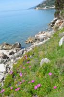 Appartamento con Vista Mare