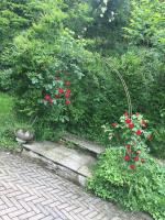 Appartamento con Terrazza