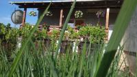 Casa Camelia - B&B
