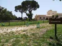 B&B Ruvo di Puglia - Tenuta Tedone Consolini - Bed and Breakfast Ruvo di Puglia