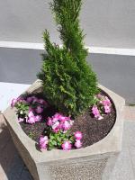 Apartment Resavska - Bed and Breakfast Belgrado