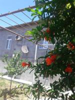 B&B Baku - Guest house near Baku airport - Bed and Breakfast Baku