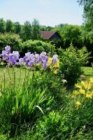 Ferienwohnung Auszeit im Pfaffenwinkel - Wessobrunn - B&B Wessobrunn