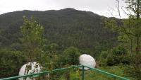 Tienda Jungle