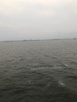 Tatas Apartment - Bed and Breakfast Batoemi