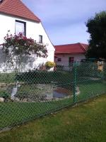 Pod strusiami - B&B