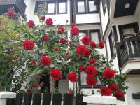 St. Varvara Apartments - B&B Ocrida