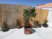 Le stanze di Cortès - B&B Fragagnano