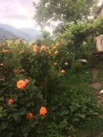 Anush`s B&B - B&B