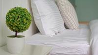 Chambre Double - Vue sur Montagne