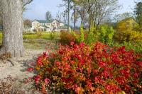 Pałac Pacółtówko - Chambres d’hôtes Pacółtówko