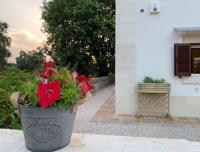 La Mignola - B&B Fasano