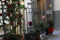 Speranzella 86 - B&B Napoli