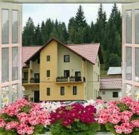 Flori de Bucovina - Bed and Breakfast Pojorâta