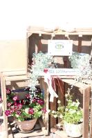 Ferienwohnung auf dem Bauernhof - B&B Cottbus