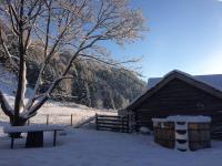 Skjeggestad Gjestehus - B&B Ringebu