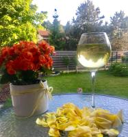 Appartement - Vue sur Jardin