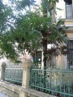 Marine Residence - Ferienwohnung Batumi