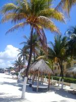 Beautiful condo a few stps to sea - B&B