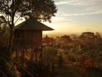 Chambre Double Deluxe (2 Adultes + 1 Enfant)