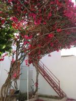 La casa di Peter - Bed and Breakfast Torre Lapillo