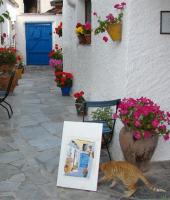 Sierra y Mar - Ferienwohnung