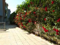 Alex Beach Apartment - Ferienwohnung Sveti Vlas