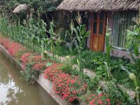 Thai Binh Garden - Bed and Breakfast