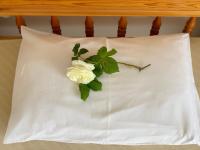 Apartment mit Balkon