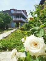 B&B Telavi - Ronini Telavi - Bed and Breakfast Telavi