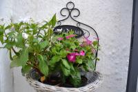 La Violetta Ostuni - B&B