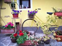 The GRAND GARDEN APARTMENTS - B&B Ljubljana