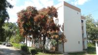 Studio Olimp Black Sea - B&B Olimp