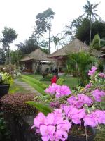 Suka's House Bed & Breakfast - Bed and Breakfast Ubud