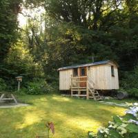 B&B Carmarthen - 'Morris' the shepherd's hut with woodland hot tub - Bed and Breakfast Carmarthen