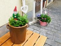 Ferienwohnungen Landleben - B&B Kammerforst