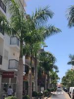 Bubu Beach 1-B - B&B Los Cristianos