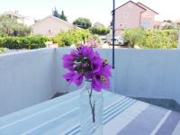 Apartmani Kovačić - Chambres d'hôtes Murter