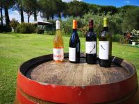 Poggio del Sole - Chambres d’hôtes