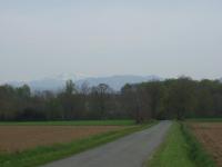 La petite danseuse - B&B Franquevielle