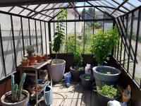 Angers Green Lodge - Yellow Sun Appartement - Ferienwohnung Angers