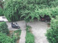 Apartment LIM - Bed and Breakfast Budva
