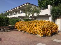 Appartamenti Ischia la Sentinella - B&B