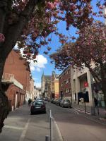 Résidence Le Guyencourt Amiens Centre - B&B Amiens