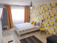 Dream Studio 2 Petrosani - Chambres d’hôtes Petroşani