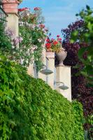 Santa Maria a Poneta - B&B Barberino Val d'Elsa