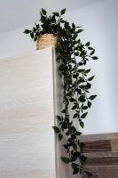 B&B Corso Italia 92 - Ferienwohnung Catania