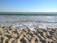 Derrière la plage : suite, patio et pergola - B&B Le Bois-Plage-en-Ré