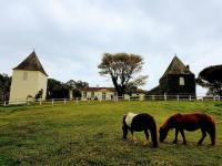 B&B Soulignac - La Jouissiere - Bed and Breakfast Soulignac